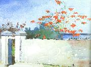 Winslow Homer A Wall, Nassau oil painting on canvas